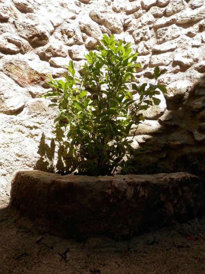 Cali B&B Alatri Exterior foto